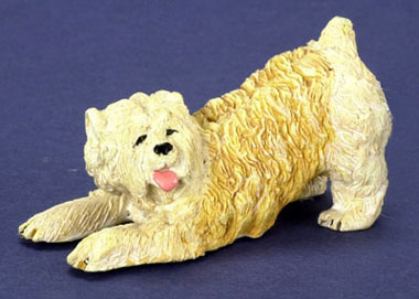 Wheaton Terrier